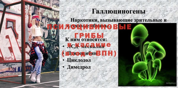 Альфа ПВП Няндома