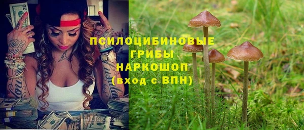 СК Болотное