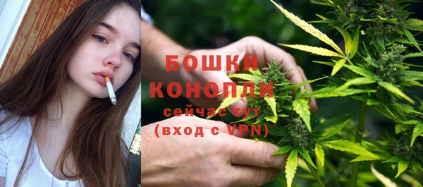 Альфа ПВП Няндома