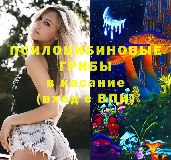 Альфа ПВП Няндома