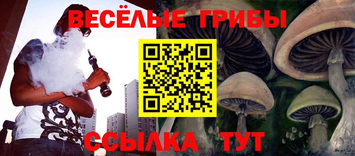 Псилоцибиновые грибы прущие грибы Полысаево