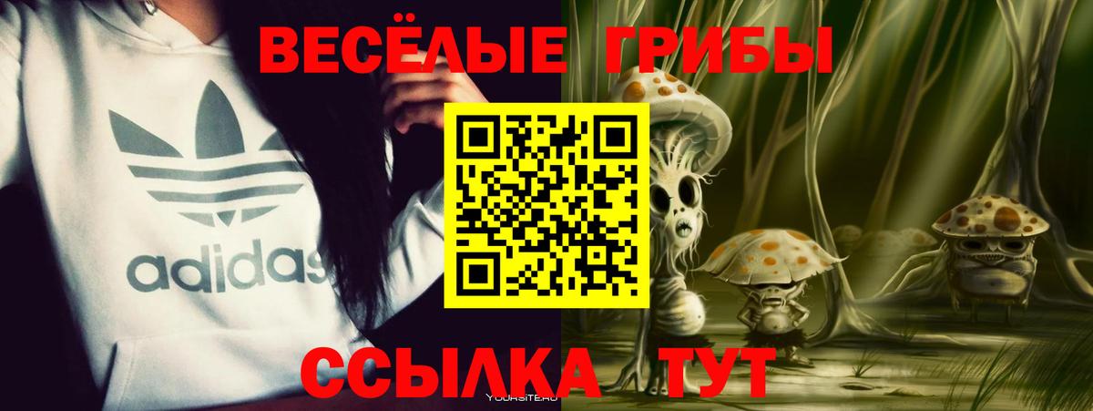 Псилоцибиновые грибы GOLDEN TEACHER  Полысаево 