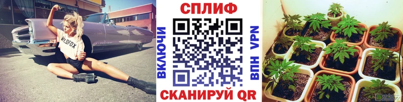 закладки  Полысаево  Марихуана OG Kush 